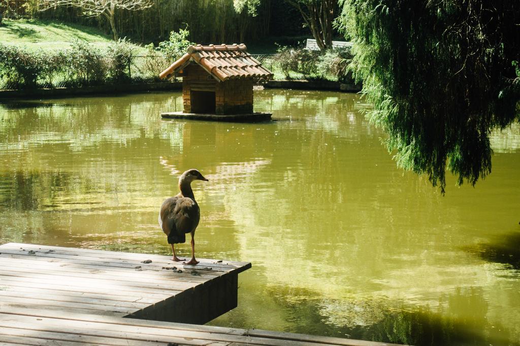 Pousada Tucano Do Cuiaba Itaipava Bagian luar foto